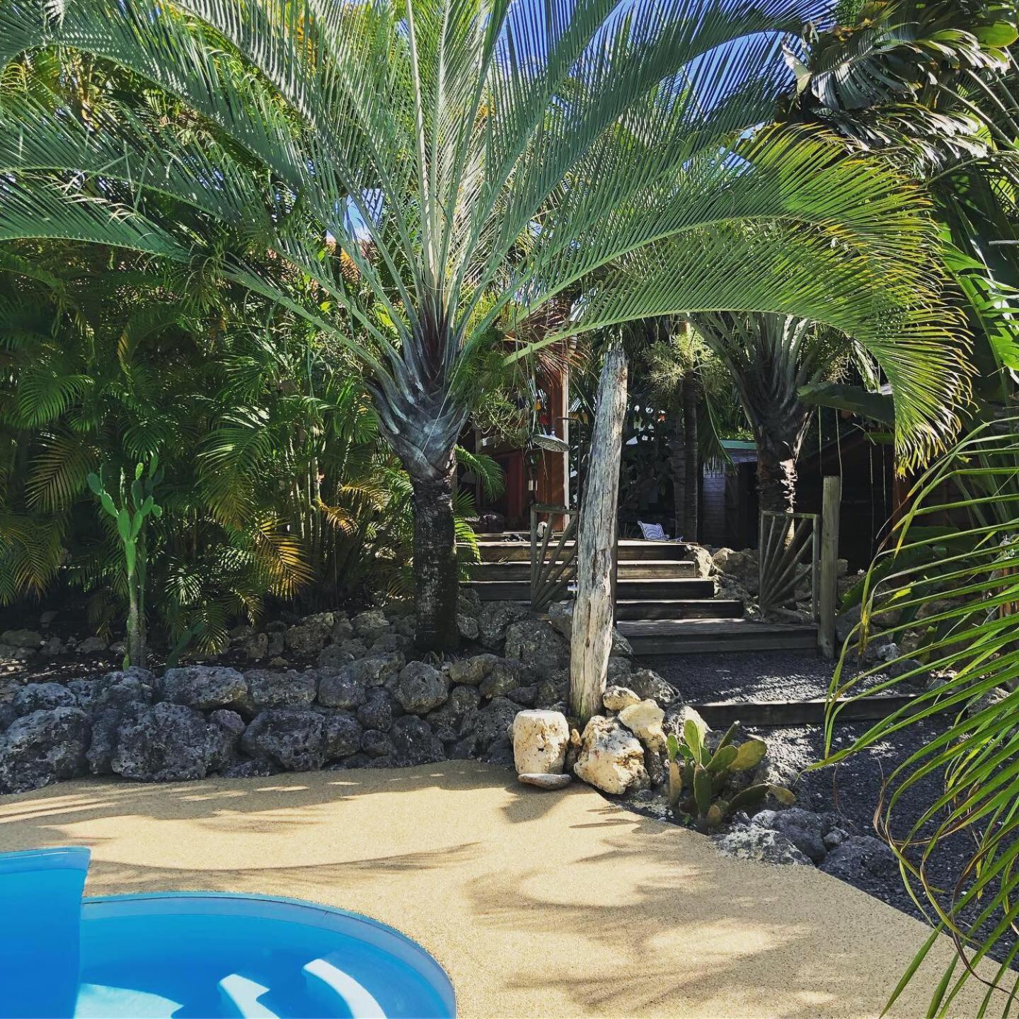 Coin Paradis * Anse-Bertrand